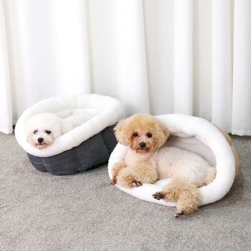 Chị Ong Nâu Xúc Xắc Xúc Xẻ - Nhạc Thiếu Nhi Vui Nhộn Cho Bé