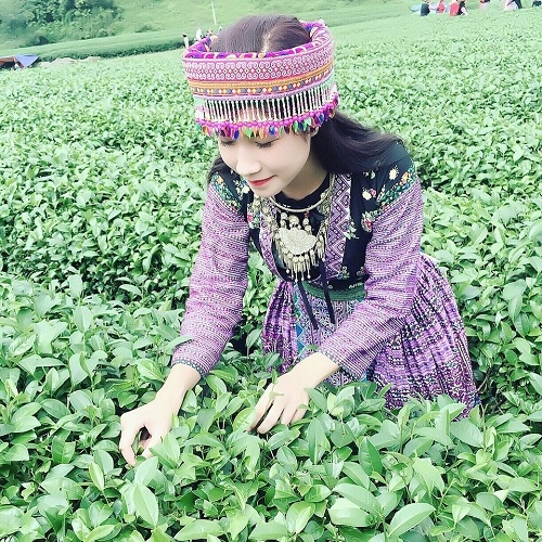 Album Miền Trung Tìm Về Thương Về Xứ Nghệ Da Diết Của Hà Quỳnh Như Phần 1