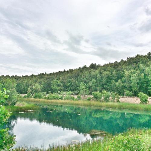 Tuyệt Phẩm Song Ca Tân Cổ Giao Duyên Hải Ngoại Miền Nam Hay Nhất