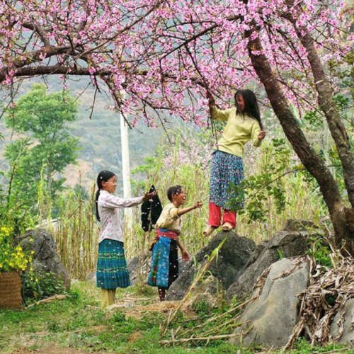 Mưa Hè Nhạc Thiếu Nhi Hay Nhất