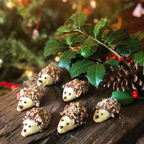 Thánh Ca Xuân Hay Nhất Nguyễn Sang Album Chúa Mùa Xuân