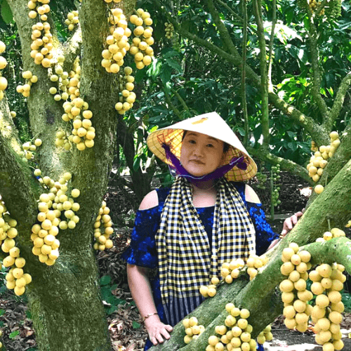 Phải Lòng Cô Gái Bến Tre Nhạc Dân Ca Miền Tây Trữ Tình Quê Hương Hay Nhất