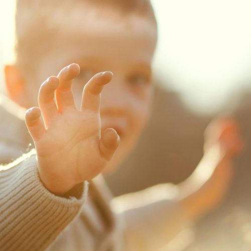 Con Chim Non - Chim Vành Khuyên - Xiếc Vẹt - Nhạc Thiếu Nhi Hay Cho Bé Yêu