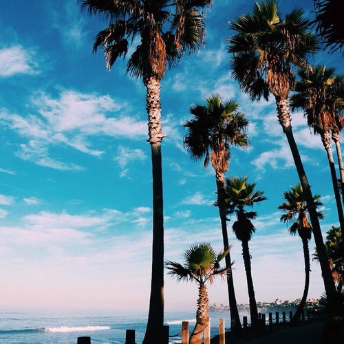 Nhạc Miền Nam Trích Đoạn Tân Cổ Lời Người Lính Xa Xôi Đặc Sắc Nhất