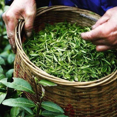 Liên Khúc Nhạc Dân Gian Tuổi Thơ Hay Nhất Nghe Nhớ Quê Da Diết