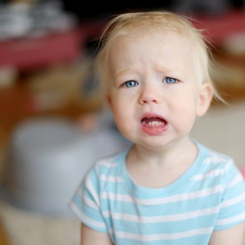 Con Cò Bé Bé Cháu Lên Ba Nhạc Thiếu Nhi Vui Nhộn Sôi Động
