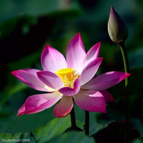 Nhạc Dân Gian Nghe Xong Là Ngủ Chuẩn Mực Nhạc Sống Rumba Bolero Nhẹ Nhàng