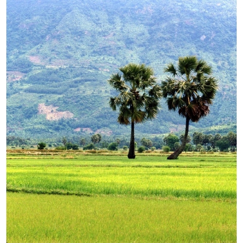 Tân Cổ Giao Duyên Miền Nam Đặc Sắc 2019 - Bùi Trung Đẳng, Thu Vân Phần 2