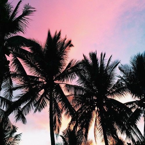 Nhạc Miền Nam Trích Đoạn Tân Cổ Khi Người Say Biết Yêu Hài Hước Nhất