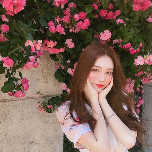 Câu Chuyện Đầu Năm Hay Nhất Chào Xuân Canh Tý 2020