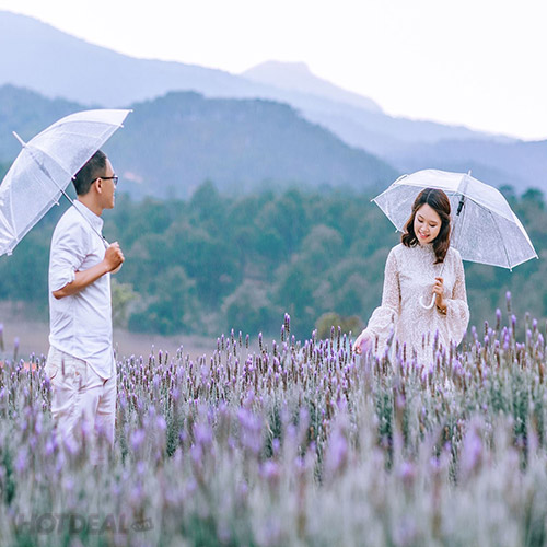 Nhạc Dân Gian Tuyệt Phẩm Sến Xưa Nghe Về Đêm Hay Nức Nở Vì Tiền Em Phụ Tình Anh