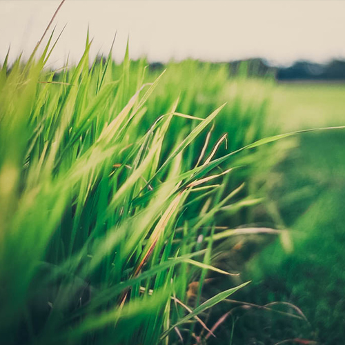 Nhạc Dân Gian Tuyệt Đỉnh Nhạc Sến Rumba Chất Lượng Cao Hay Đê Mê Cả Xóm Phê