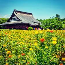 Nhạc Miền Nam Trích Đoạn Tân Cổ Trách Ai Vô Tình Hay Nhất Chung Tử Long