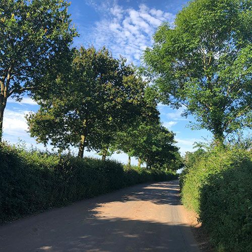 Tân Cổ Miền Nam Đêm Tạ Từ Của Cặp Anh Em Song Ca Nứt Tiếng