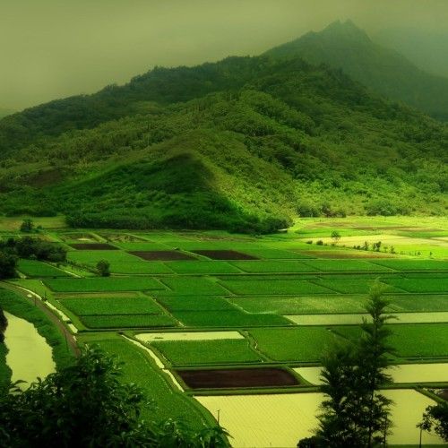 Liên Khúc Khóc Thầm Tân Cổ Giao Duyên Miền Nam Hay Nhất Minh Cảnh
